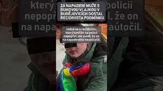 Za napadení muže s duhovou vlajkou v Budějovicích dostal recidivista podmínku [upl. by Annohsed310]