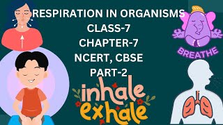 Understanding Respiration in Organisms  Class 7 CBSE NCERT PART2 Chapter 7 [upl. by Enilaf957]