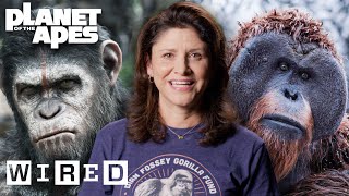 Every Ape in Planet of the Apes Explained  WIRED [upl. by Inait615]