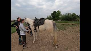 Terensko jahanje Alisa i Orna Trail horse riding [upl. by Varion]