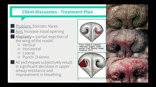 Brachycephalic Airway Syndrome VICE Rounds [upl. by Kanya]