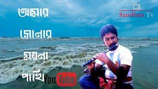 Amar Sonar Moyna Pakhi  আমার সোনার ময়না পাখি  flute cover  Sandhan Tv [upl. by Nahtan]