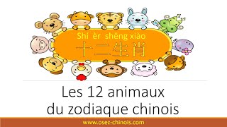 12 animaux du zodiaque chinois [upl. by Bucky284]