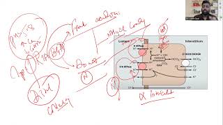 Renal Tubular Acidosis Type 1  Pathophysiology  Diagnosis and Management  Dr Ankit Goel FRCS Urol [upl. by Hubert]