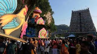 astha kali urumi melam at ipoh thaipusam 2020 [upl. by Arevle910]