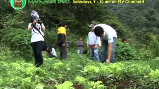 Community Organic FarmingAgroforestry Project Part 1 [upl. by Velick]