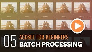 ACDSee for Beginners  05  Batch Processing Images [upl. by Colwen]