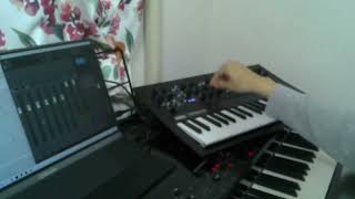 play minilogue xd 20241102 [upl. by Sisenej]