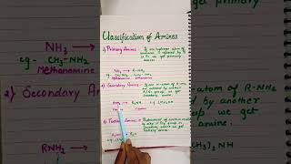 Amines Organic Chemistry 12th video 1 chemistry ytshorts shortvideo [upl. by Aimek3]