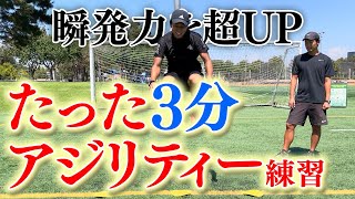 毎日3分簡単アジリティートレーニング教えます！ [upl. by Canada]