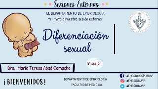 Octava sesión externa Diferenciación sexual [upl. by Soelch446]