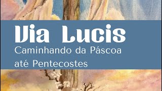 Via Lucis o caminho de Jesus Ressuscitado da Páscoa a Pentecostes sedesalsedeluz [upl. by Rebna]