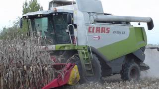 AGRIMAC  Claas Lexion 530 Mais 2010 Video 1 [upl. by Khudari349]