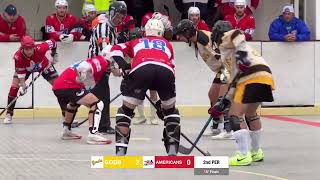 USA Ball Hockey Live Stream [upl. by Sharp]