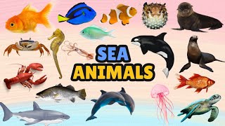 Sea Animals in English  Kids Learning Sea Animals  Sea Animals with Pictures [upl. by Noelopan]