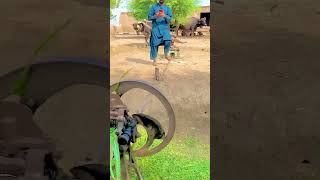 Old Faster Chaff Cutter Machine Operating With Black Bull shorts shortsfeed viralshorts [upl. by Misaq]