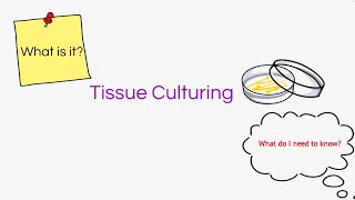 TIssue Culturing Biology BugbearsLeaving Cert Biology2023 [upl. by Kinna]