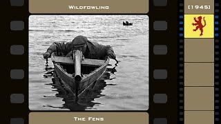 Wildfowling  The Fens 1945 [upl. by Yoral]