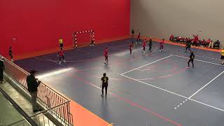 match handball féminin CSIH  HCT 2024 première moitié [upl. by Euqenimod290]