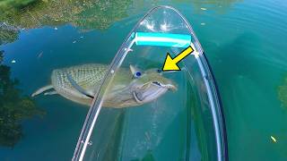 Man Goes Fishing In His Canoe  Rushes Out The Water After Seeing Something In The Water [upl. by Perusse]