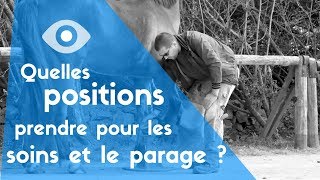 TUTO 2  Quelles positions prendre pour les soins et le parage [upl. by Appilihp]