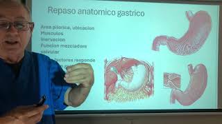 Estenosis Pilorica Hipertrofia congenita del piloro Nervio criminal de Grassi [upl. by Haianeb]