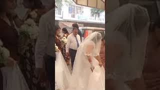 Zihaal e Muskil wedding song music lovesong shortsvideo ytshorts [upl. by Nirre749]