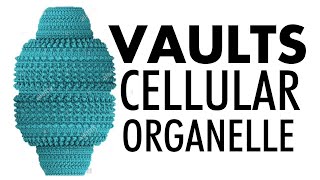 Vaults Cellular Organelle  Structure and Function  UrduHindi [upl. by Quenby285]