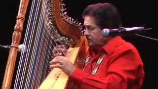 Celso Duarte Paraguayan Harp El Pajaro Campana [upl. by Ahsital]