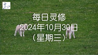 每日灵修2024年10月30日（星期三）腓立比书4章8至9节 English translation in description box [upl. by Eed]