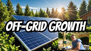 Solar Irrigation In The OffGrid GreenHouse [upl. by Urita31]