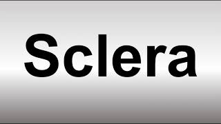 How to Pronounce Sclera [upl. by Punke]