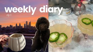 weekly diary  productive week in my life [upl. by Theall]