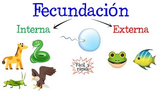 🐝Fecundación Interna y Externa🐠 Fácil y Rápido  BIOLOGÍA [upl. by Nyraa342]