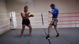 Chinese Kung Fu  Sanshou Punch And Kick Combinations  Shifu Yan Lei [upl. by Sezen478]