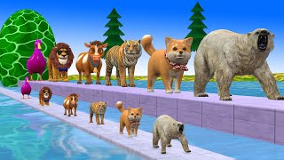 Paint Animals CowTigerBearLionDog Fountain Crossing Transformation Cartoon [upl. by Nnylatsyrc137]