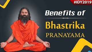 Benefits Of Bhastrika Pranayama  Swami Ramdev [upl. by Nnodnarb483]