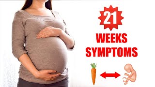 21 Weeks Pregnant Symptoms – Baby Size and Baby Moving in Womb [upl. by Lantz]