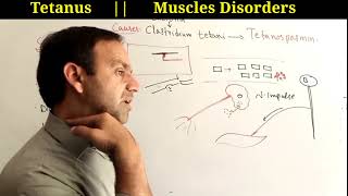 Tetanus  Causes symptoms Complications and treatment of tetanus class 12 Biology [upl. by Sivra]