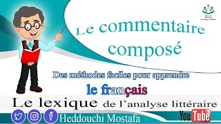 Comment analyser et commenter un texte littéraire 13 [upl. by Kokoruda]