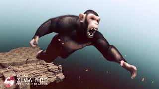 Ziva Dynamics Chimp Project Alexandre Fernandes CFX [upl. by Enivid]