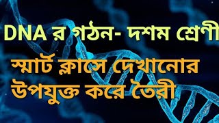 DNA structure in Bengaliডিএনএর গঠন  smart class video [upl. by Swerdna365]