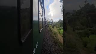 Oberwiesenthal Dampfeisenbahn [upl. by Nerek818]