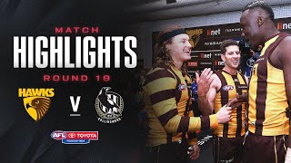 Hawthorn v Collingwood Highlights  Round 19 2024  AFL [upl. by Htebyram]