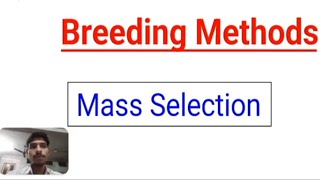 Mass Selection Breeding Method in Plant Breeding By  Jagdeesh [upl. by Janek]