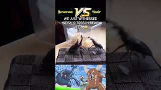 heracross Vs Pinsir in real life pokemon pokemonreallife [upl. by Nnylannej992]