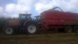 Ensilage avec 890 2014 [upl. by Isied]