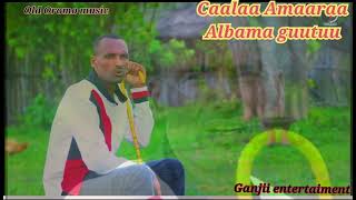 Caalaa Amaaraa oromo music [upl. by Aikehs856]