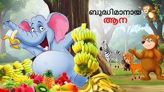 ബുദ്ധിമാനായ ആന  Malayalam Story  Stories in Malayalam  StoryTalesMalayalam [upl. by Mickelson]