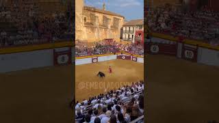 OLGA CASADO  Novillada 2309 Algemesí toros fiestas torero [upl. by Acino9]